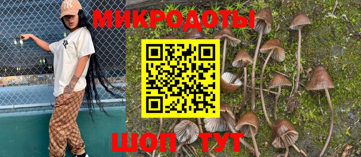 Галлюциногенные грибы Magic Shrooms Полысаево