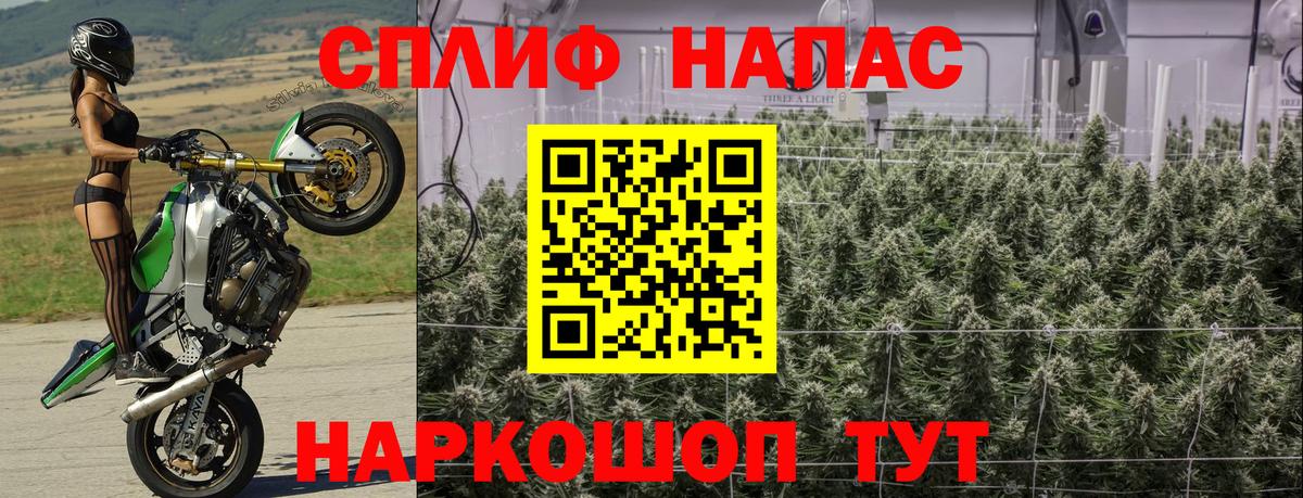 Конопля индика  Бошки Шишки план  Вход с VPN  Конопля индика  Канабис марихуана  Полысаево 